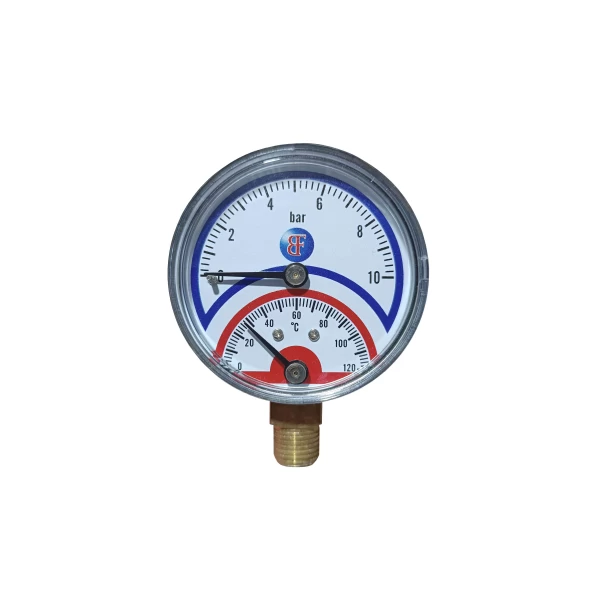 Θερμομανόμετρο Όρθιο (0-10 Bar - 0-120°C) | Brass Form